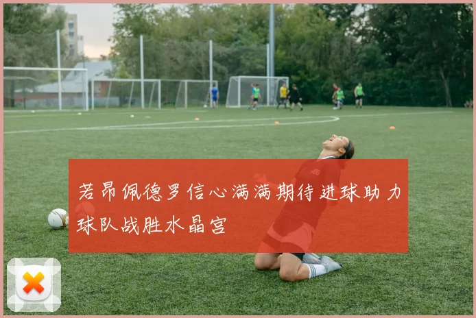 若昂佩德罗信心满满期待进球助力球队战胜水晶宫